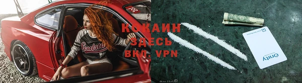 apvp Алексин
