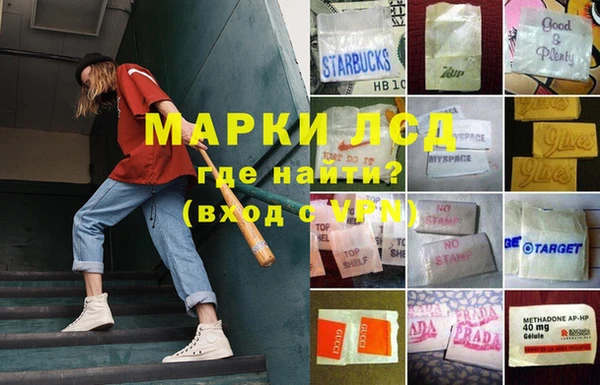 apvp Алексин