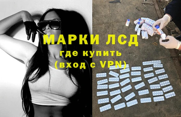 apvp Алексин