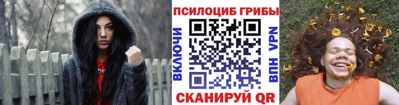 где купить Дудинка Псилоцибиновые грибы Cubensis